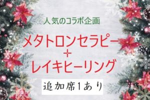 メタトロン1席追加可能です 東京品川大井町 ヒューマン トラスト研究所